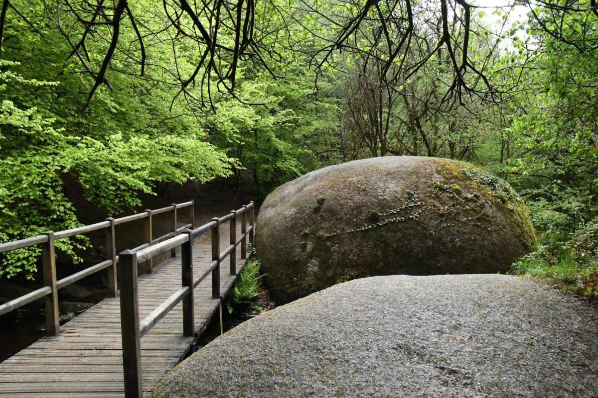 La mare aux sangliers