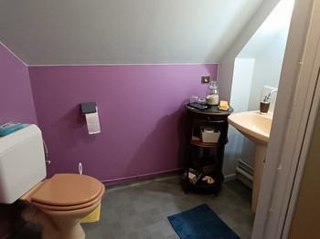 Chambre d'hôtes Myosotis - La petite vallée - Salle d'eau