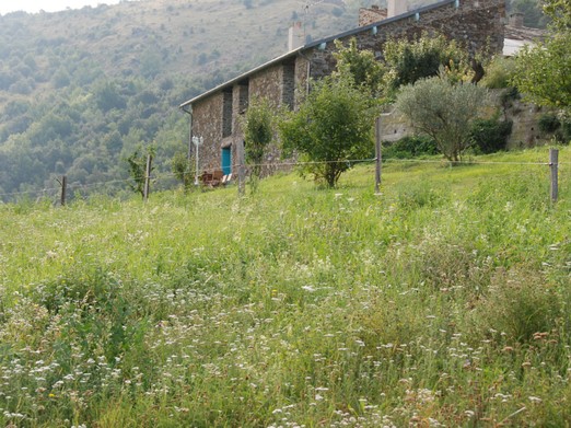 Image n° 1 de la location