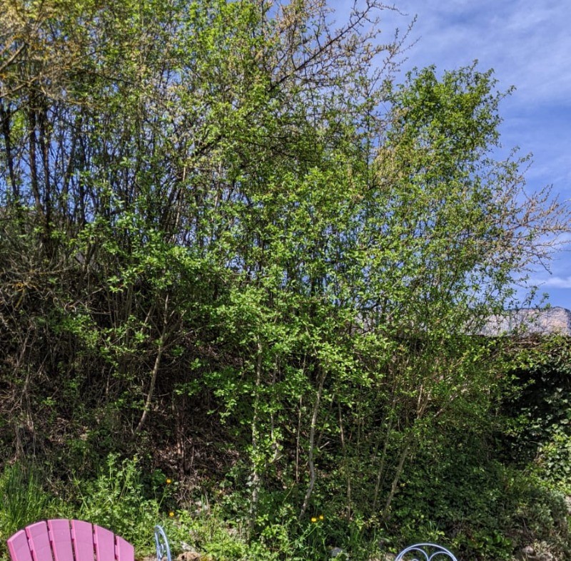 Photo n° 9 of the location