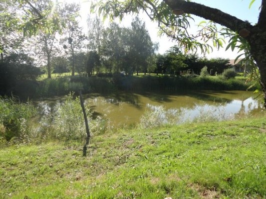 Photo n° 12 de la location