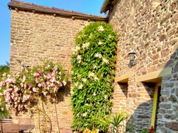 Image n° 3 de la location