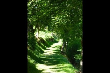 Photo n° 12 de la location