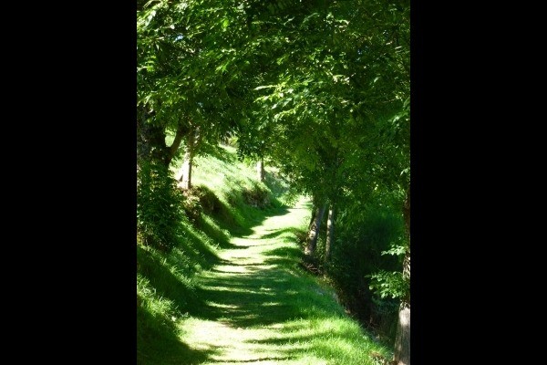 Photo n° 12 de la location