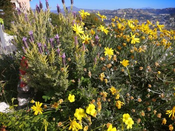 exterieur jardin vue panoramique errasse chambre