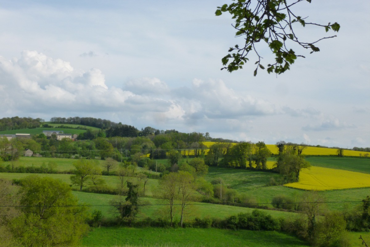 Photo n° 11 of the location