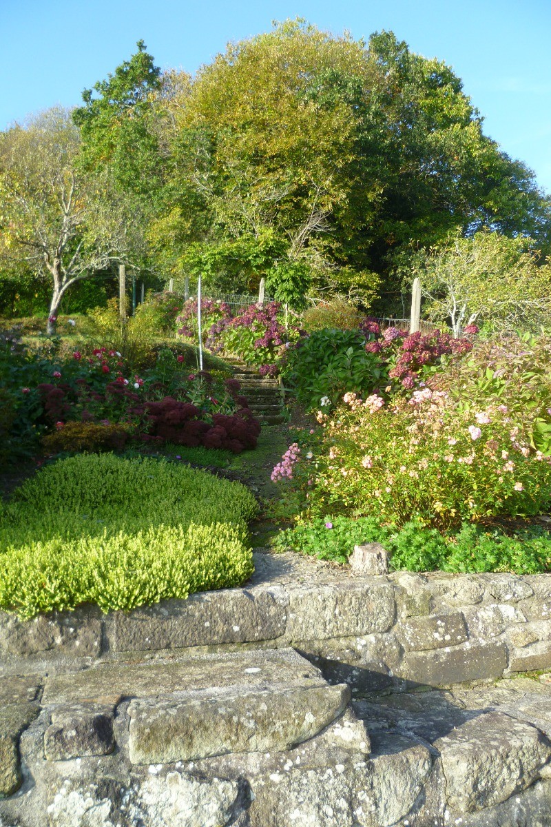 jardin paysagé et fleuri