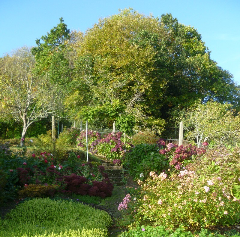jardin paysagé et fleuri