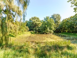 La Martinerie maison à Mangiennes, étang d'agrément au fond du parc