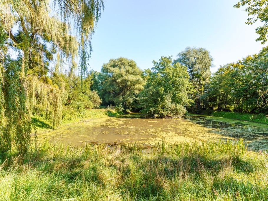 La Martinerie maison à Mangiennes, étang d'agrément au fond du parc