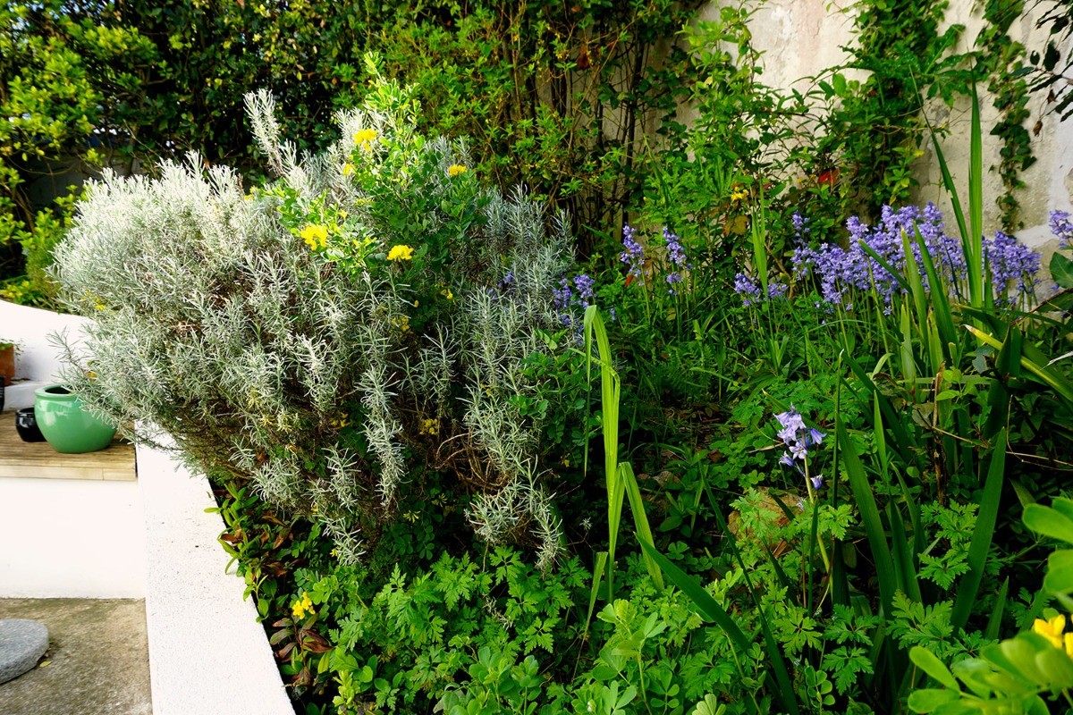 Votre jardinet fleuri