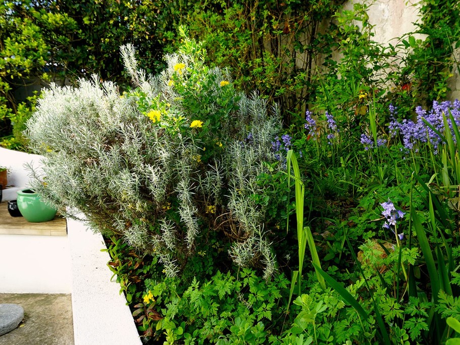 Votre jardinet fleuri