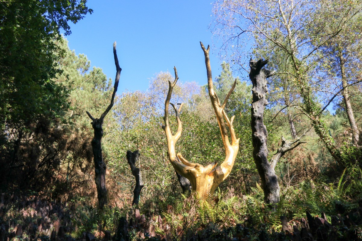 L'arbre d'Or dans la forêt de Brocéliande.
Crédits photos : ADT 56 Loïc KERSUZAN