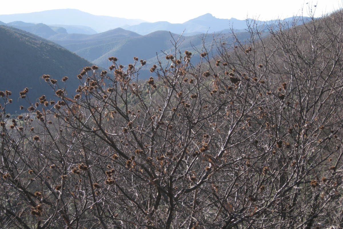 Photo n° 8 of the location