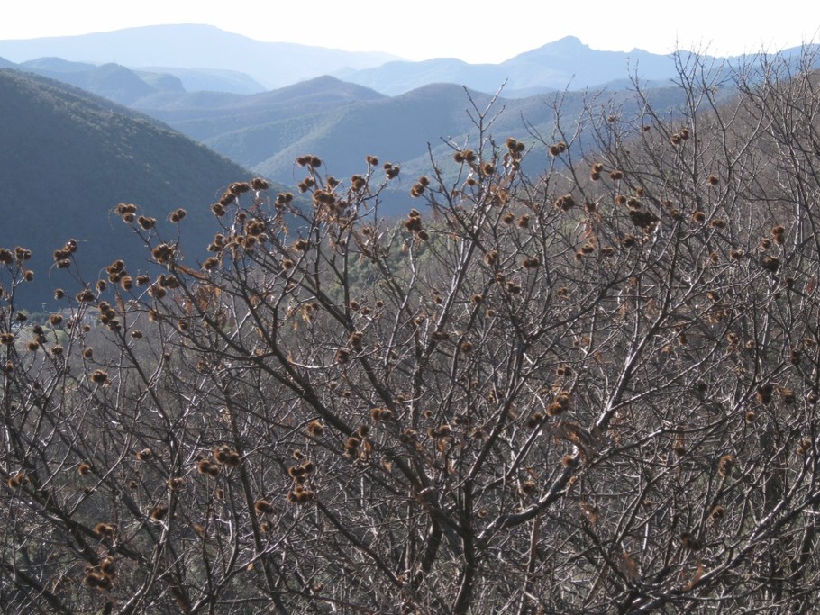 Photo n° 8 de la location