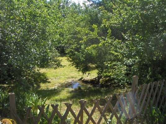 Le jardin devant la maison avec la petite mare - The little pond in the front garden