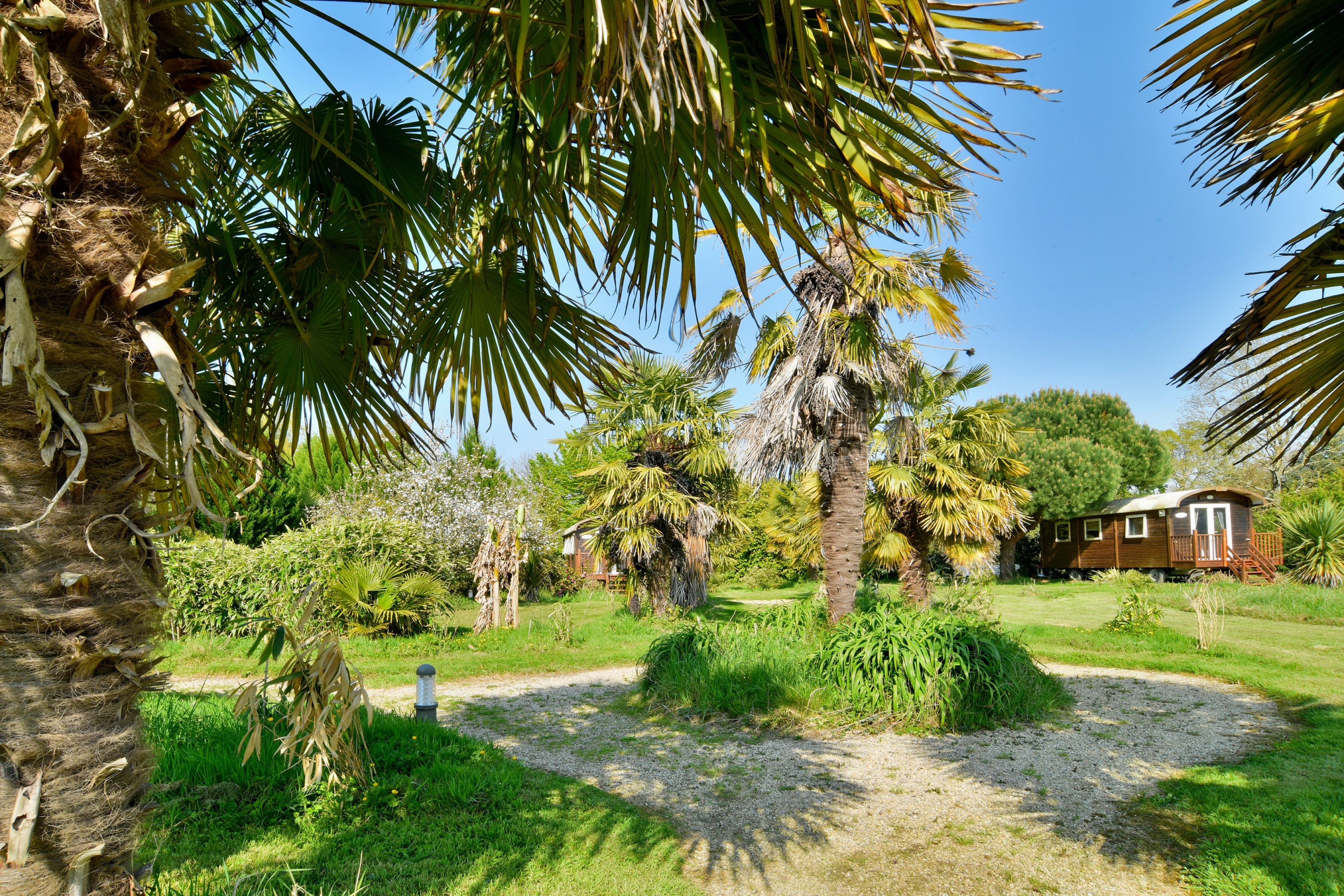 Jardin arboré d'essences tropicales, où sont disséminées 5 roulottes pouvant accueillir chacune jusqu'à 2 personnes. Options petit-déjeuner, dégustations et diner.