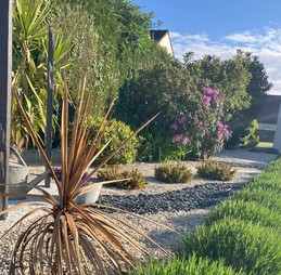 espace minéral et végétal de l'entrée