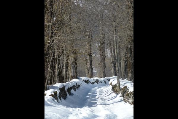 Photo n° 19 de la location