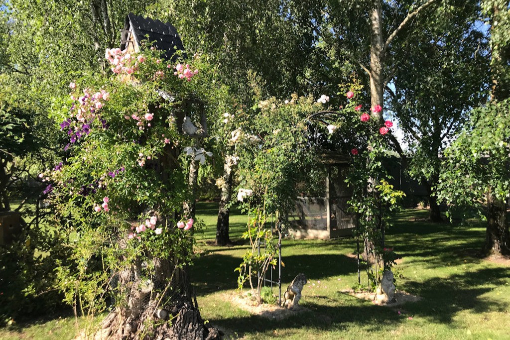 une vue du jardin