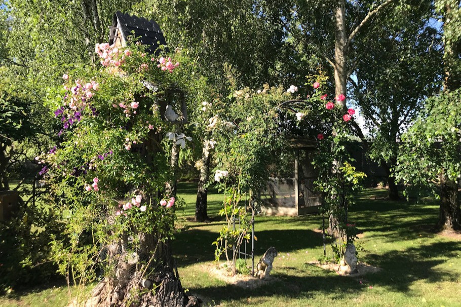 une vue du jardin