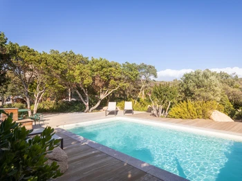 Swimming pool and terrace