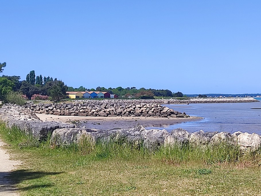 Le mus du Loup