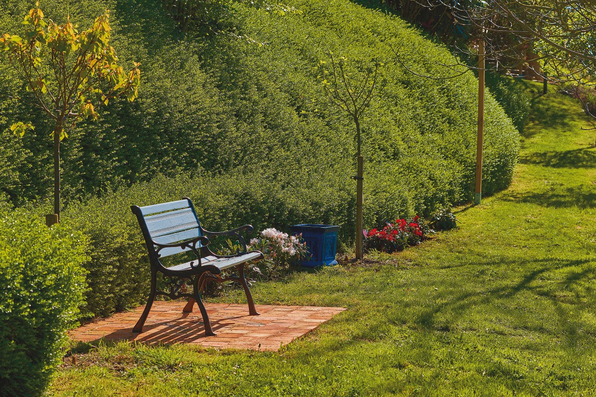 Jardin