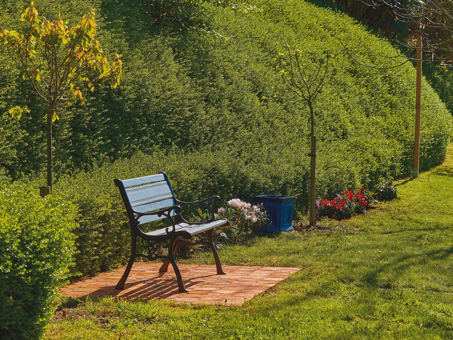 Jardin