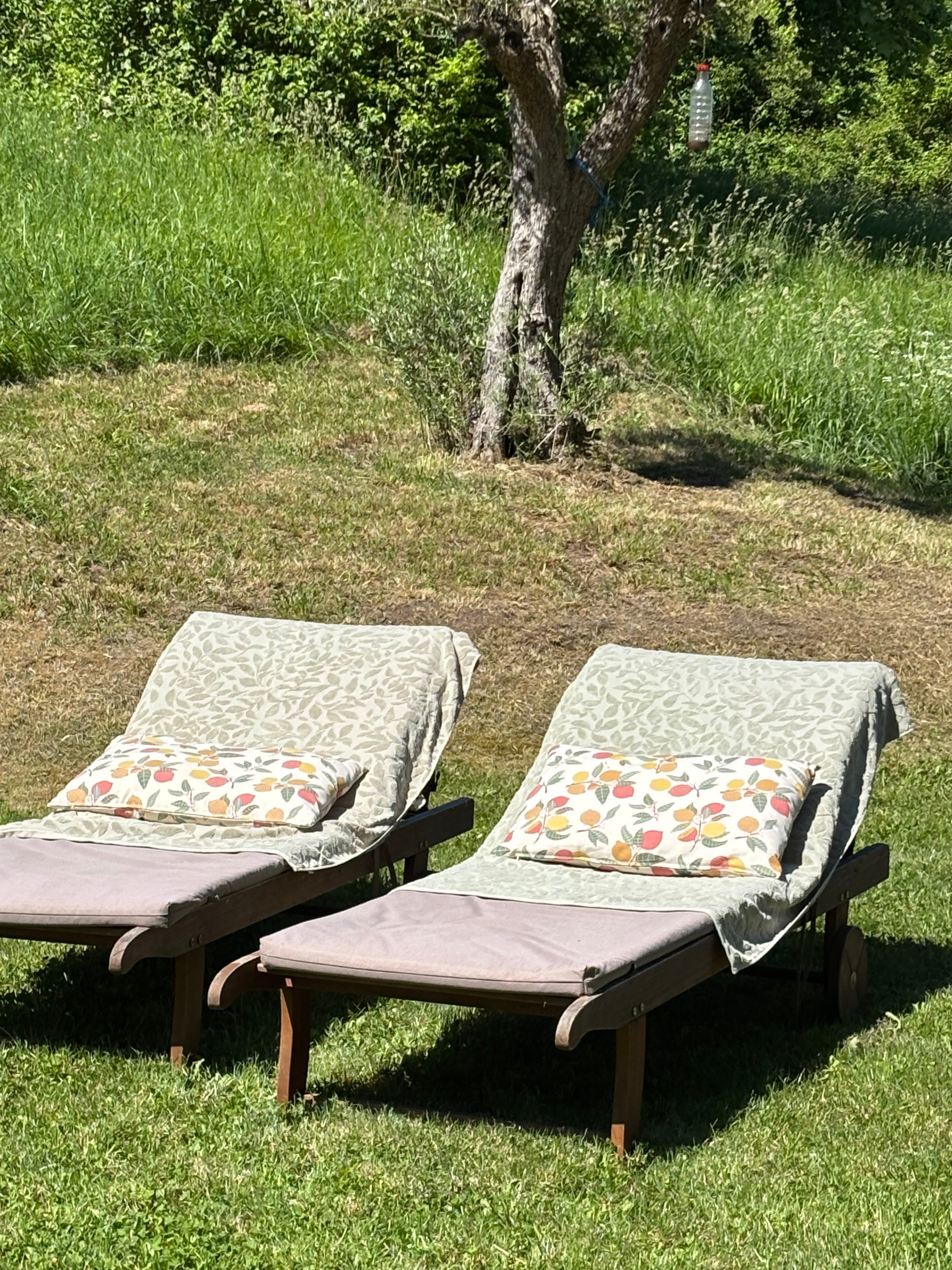 Gite for 6 people with swimming pool in Entre 2 mers, Gironde