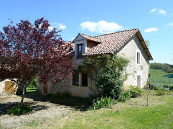 Photo n° 1 de la location