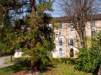 Photo n° 7 de la location