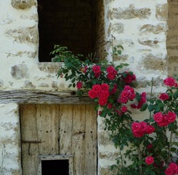 Image n° 2 de la location