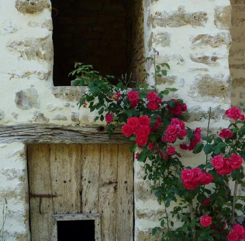 Photo n° 2 de la location