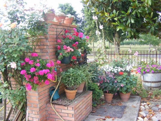 Le puits fleuri