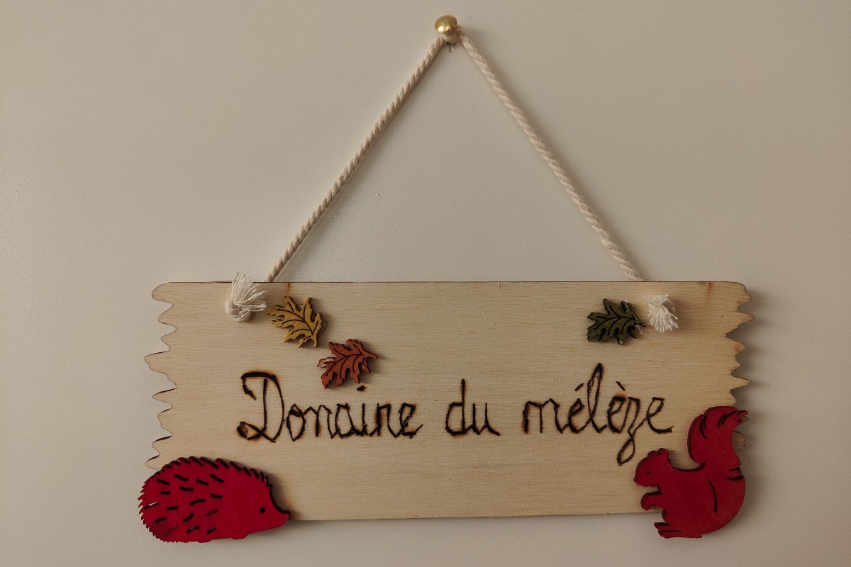 Domaine du Mélèze - Appartement