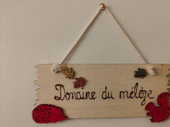 Domaine du Mélèze - Appartement