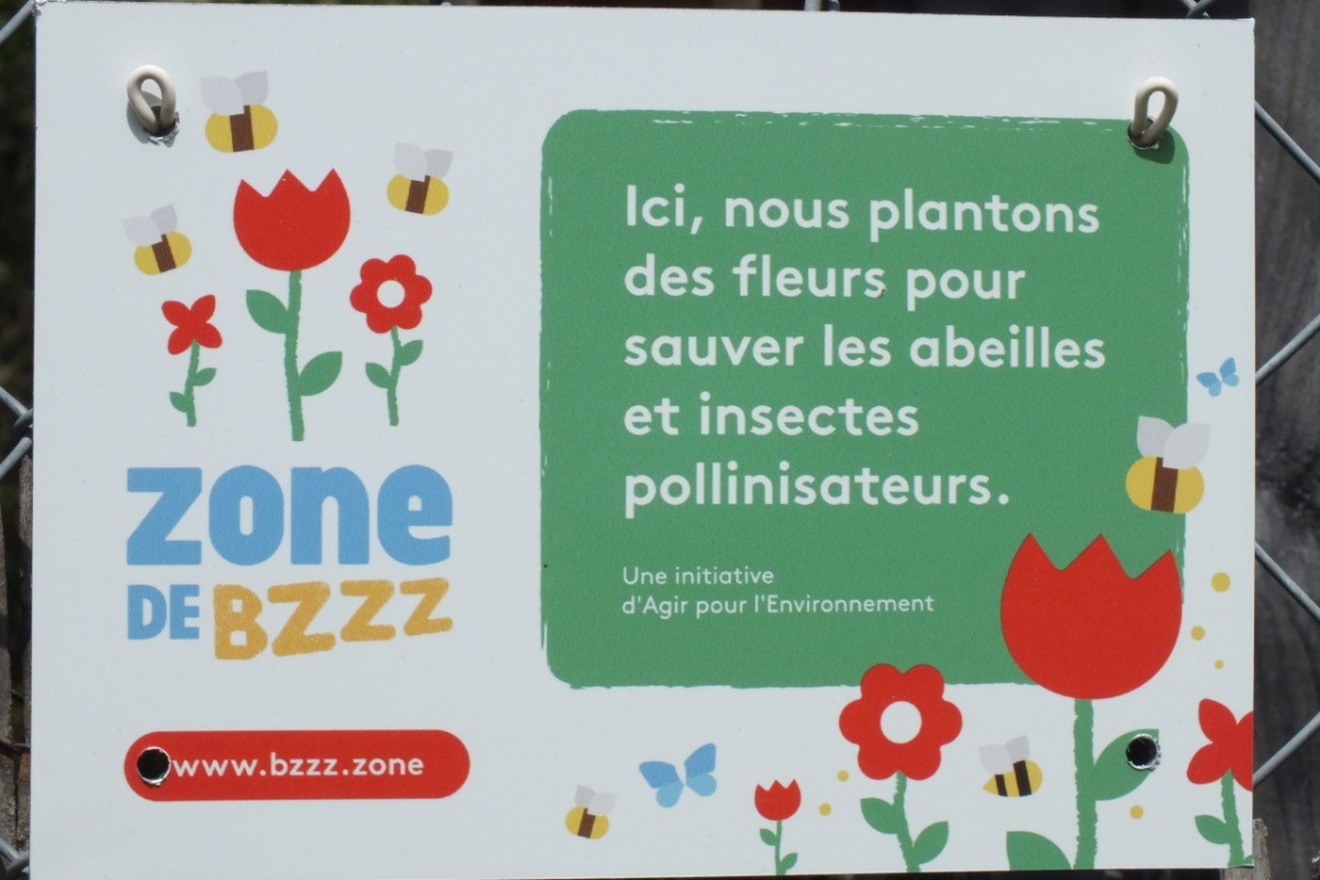 Photo n° 25 de la location