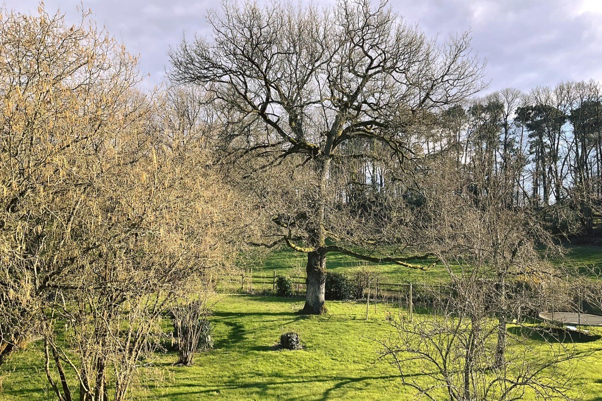Le vaste jardin arboré