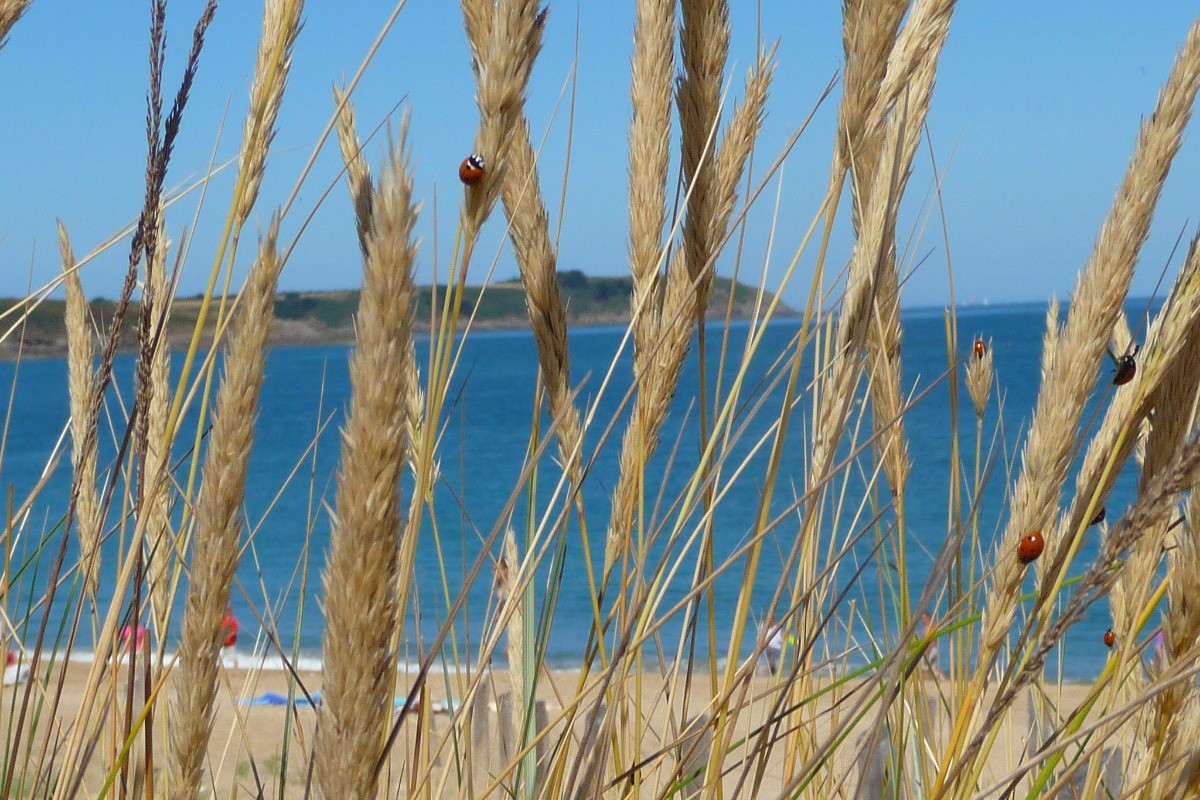 Photo n° 14 de la location