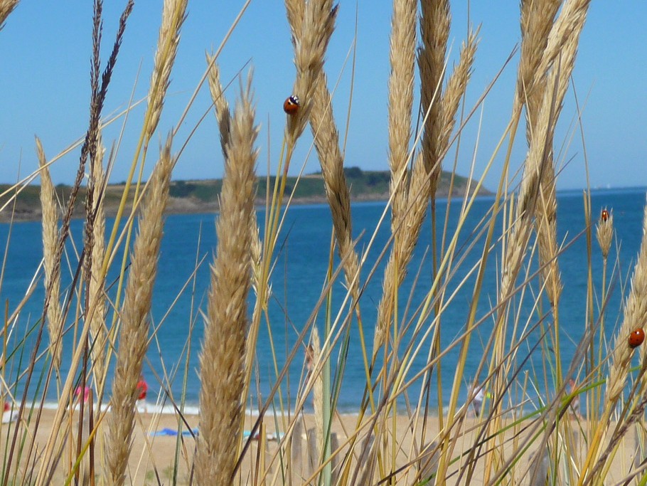Photo n° 14 of the location