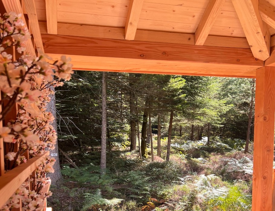 Bains finlandais sur la terrasse - Ryokan - Domaine Ouréa