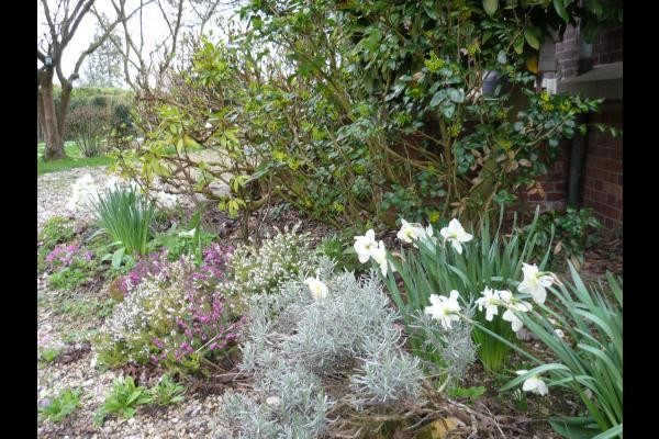 Photo n° 13 de la location