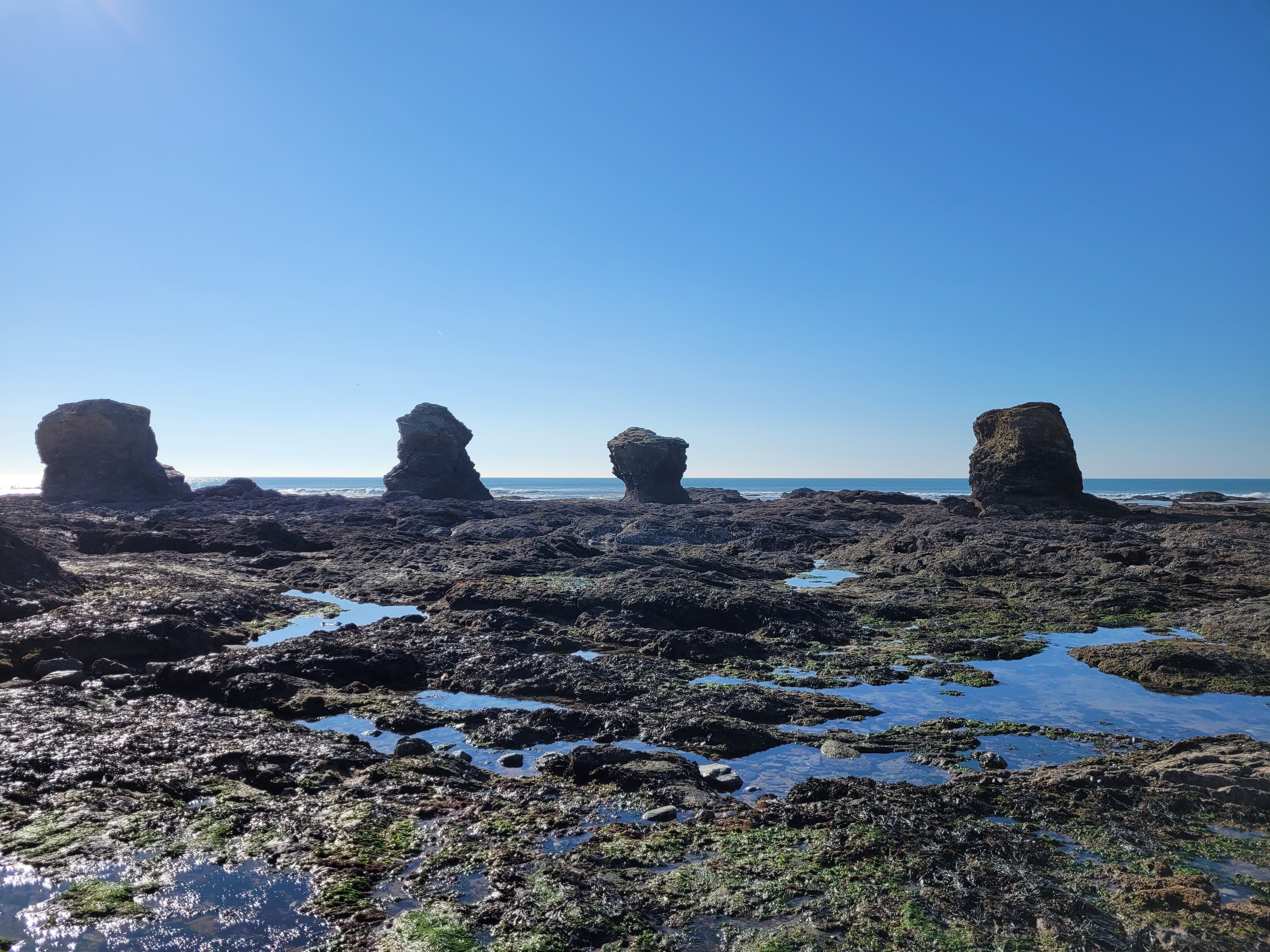 Les 5 pineaux