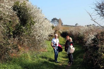 Ballade sur le GR 34