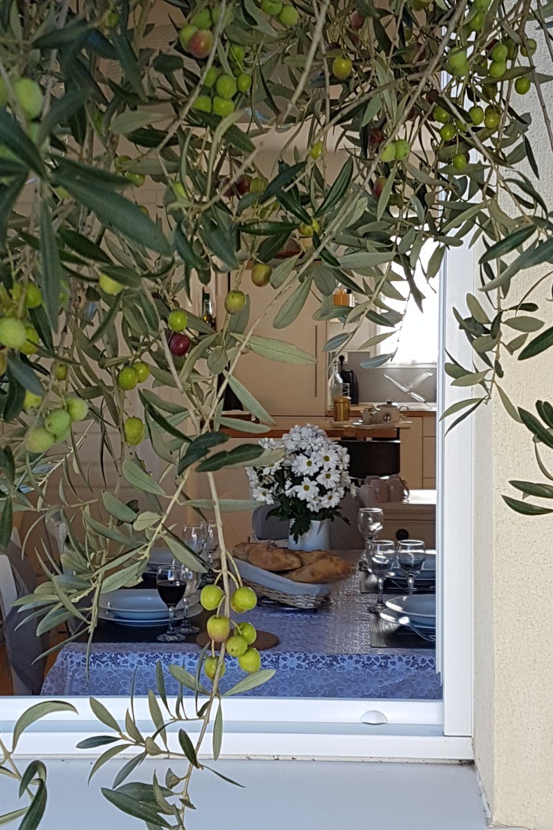 Photo n° 8 de la location