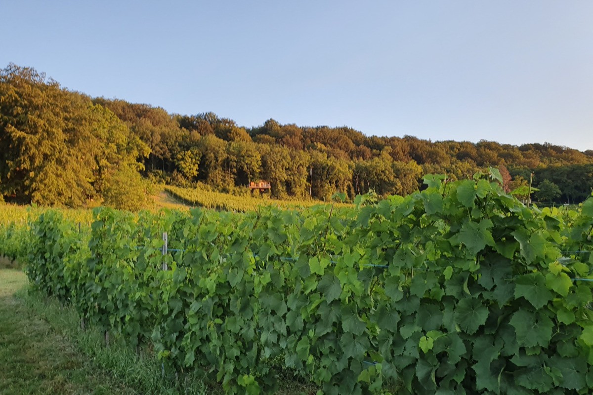 Photo n° 6 de la location