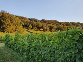 Photo n° 6 of the location