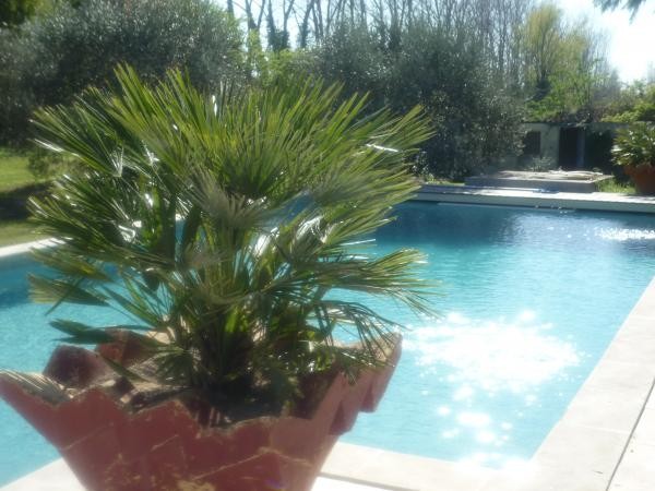 Grande piscine 6x11
