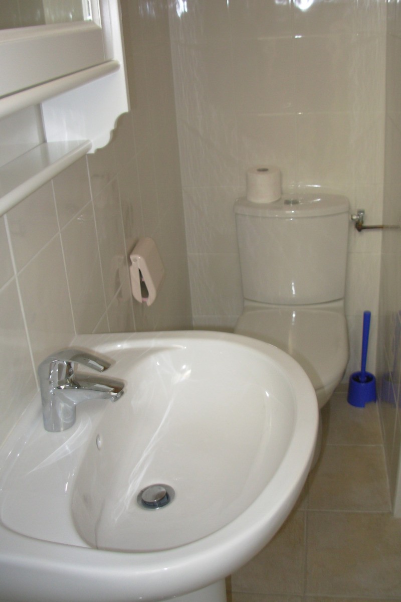 maisonnette ^pleine de charme - la salle d'eau douche lavabo et WC
